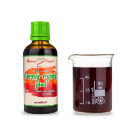 Owoc czarnej porzeczki - Dusza rośliny (nalewka) 50 ml