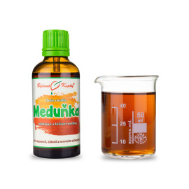 Melisa lekarska - Krople ziołowe (nalewka) Dusza roślinna 50 ml