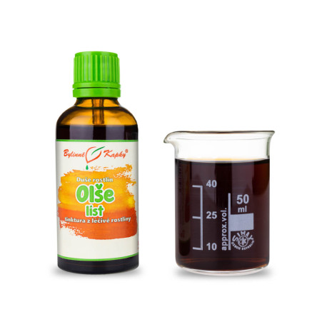 Olcha Lepki Liść - Krople Ziołowe (Nalewka) Dusza Roślinna 50 ml
