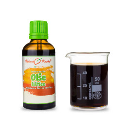 Olcha Lepkie Szyszki - Krople Ziołowe (Nalewka) Dusza Roślinna 50 ml