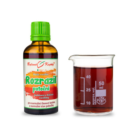 Veronika potočná - Krople ziołowe (nalewka) Dusza roślin 50 ml