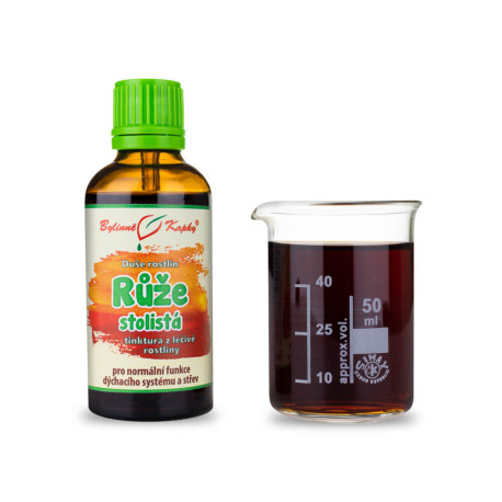 Centipede Rose - Krople ziołowe (nalewka) Dusza roślinna 50 ml