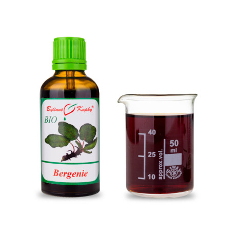 Bergenia krople BIO (nalewka) 50 ml