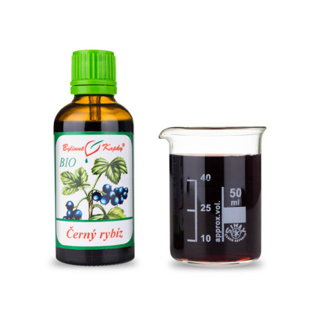 porzeczka BIO krople (nalewka) 50 ml