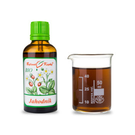 Liść truskawki + kwiat BIO krople (nalewka) 50 ml