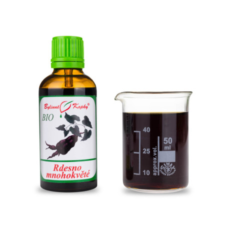 Rdest wielokwiatowy BIO krople (nalewka) 50 ml