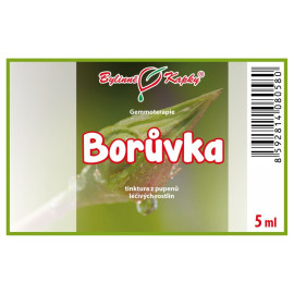Borówka amerykańska pąki żurawiny 5 ml - gemmoterapia