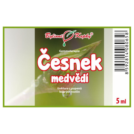 Pąki Czosnku Niedźwiedzia 5 ml - gemmoterapia