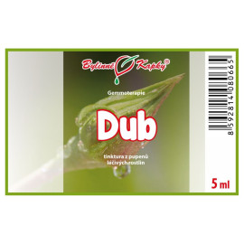 Pąki dębu 5 ml - gemmoterapia