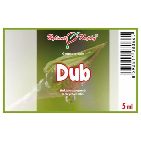 Pąki dębu 5 ml - gemmoterapia