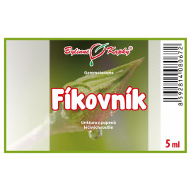 Pąki figowe 5 ml - gemmoterapia
