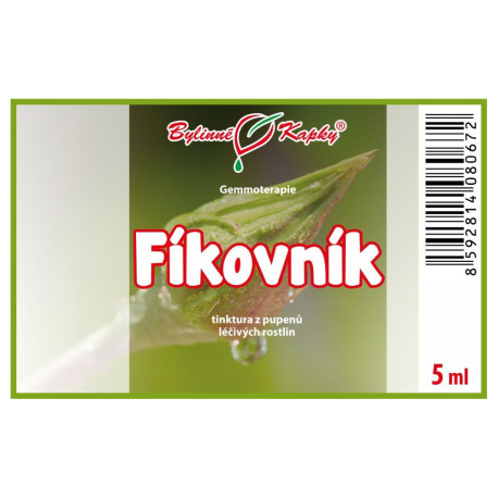 Pąki figowe 5 ml - gemmoterapia