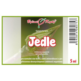 Pąki jodły 5 ml - gemmoterapia