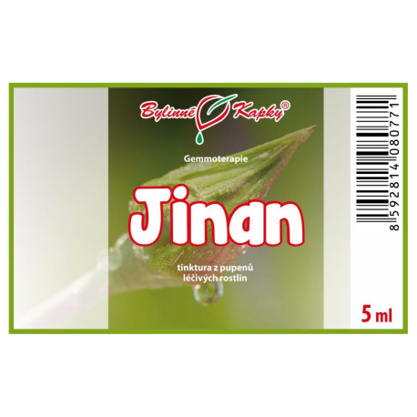 Dwupłatkowe pąki miłorzębu 5 ml - gemmoterapia