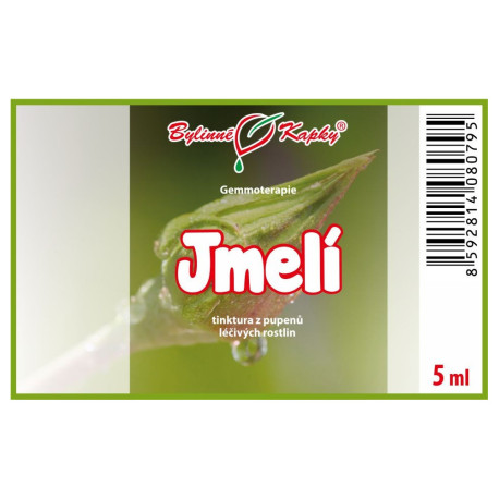 Pąki jemioły 5 ml - gemmoterapia