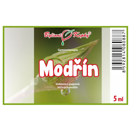 Pąki modrzewia liściastego 5 ml - gemmoterapia