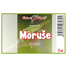 Pąki morwy 5 ml - gemmoterapia