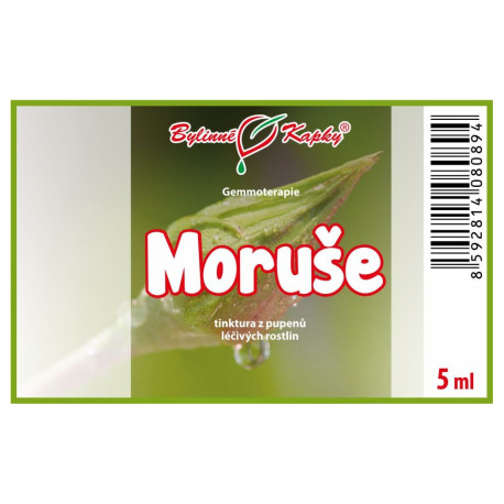 Pąki morwy 5 ml - gemmoterapia