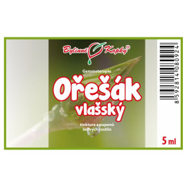 Pąki orzecha królewskiego 5 ml - gemmoterapia