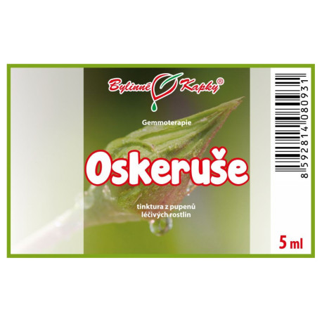 Pąki jarzębiny 5 ml - gemmoterapia