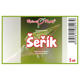 Pąki bzu pospolitego 5 ml - gemmoterapia