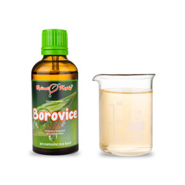 Pąki sosny zwyczajnej 50 ml - gemmoterapia