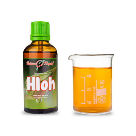 Pąki głogu 50 ml - gemmoterapia