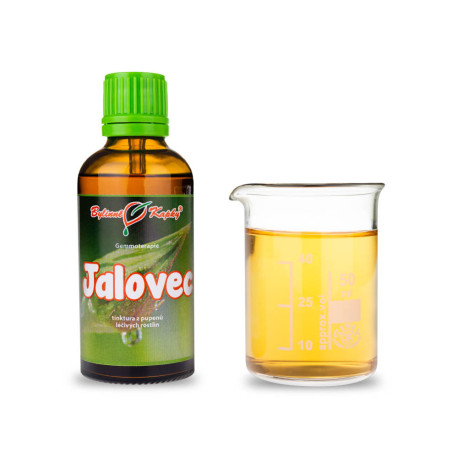 Pąki jałowca 50 ml - gemmoterapia