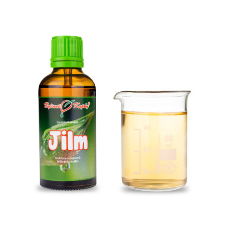 Zawiązki więzadła wiązu 50 ml - gemmoterapia