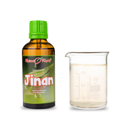 Dwupłatkowe pąki miłorzębu 50 ml - gemmoterapia