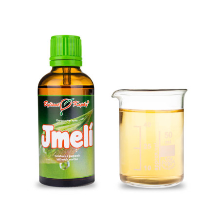 Jemioła biała pąki 50 ml - gemmoterapia