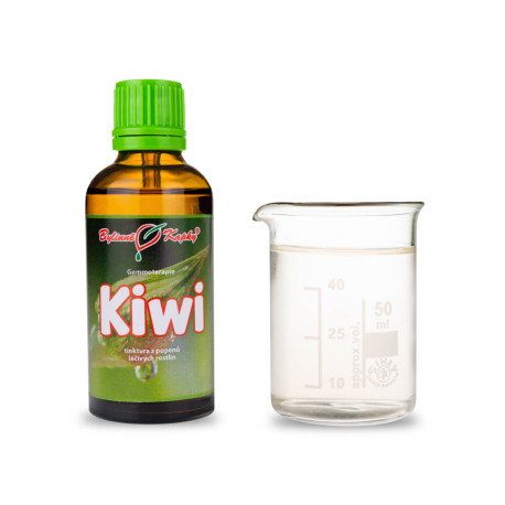 Pąki aktynidii chińskiej 50 ml - gemmoterapia