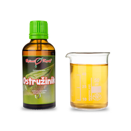 Pąki jeżyny 50 ml - gemmoterapia