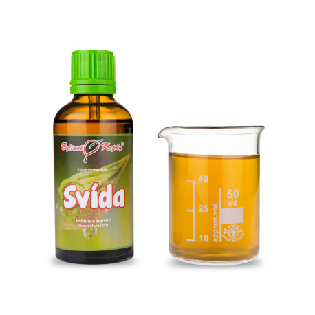 Pączki krwi derenia 50 ml - gemmoterapia