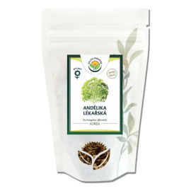 Korzeń Angeliki 100g