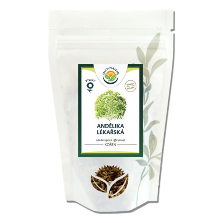 Korzeń Angeliki 100g