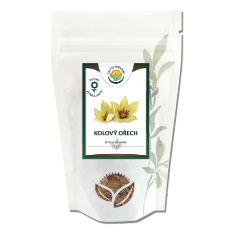 Cola acuminata – cały orzech kola 100g