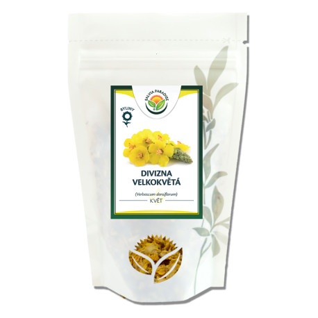 Kwiat mullein o dużych kwiatach 1000g
