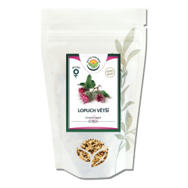 Korzeń burdock Greater 100g