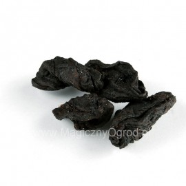 Owoc Garcinia - Garcinia cambodia - 500g całość