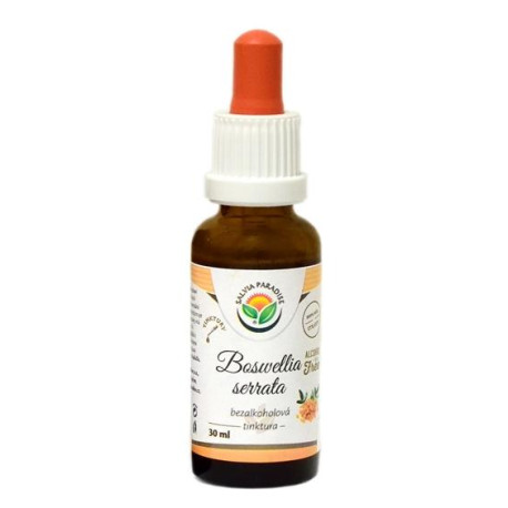 Boswellia serrata - nalewka kadzidło AF 30 ml