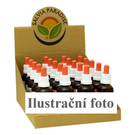 CZ BOX Ginkgo biloba nalewka AF 20 x 50 ml