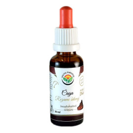 Chaga - nalewka z nacięciem AF 30ml