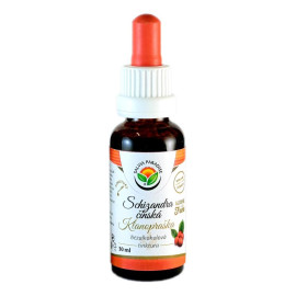 Schizandra China - nalewka koniczyny AF 30 ml