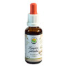 Champignon Garden AF Tincture 30ml