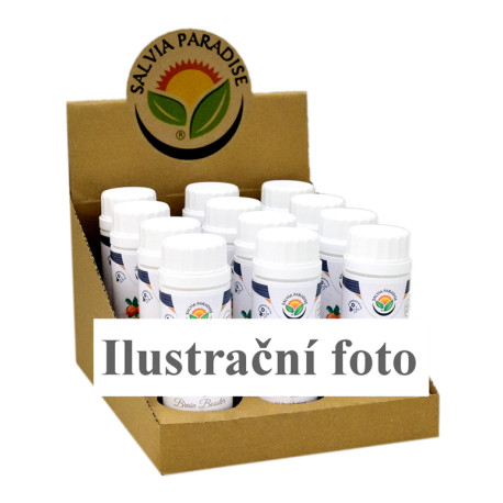 Kapsle CZ BOX IQ Brain Booster 12 x 100 części