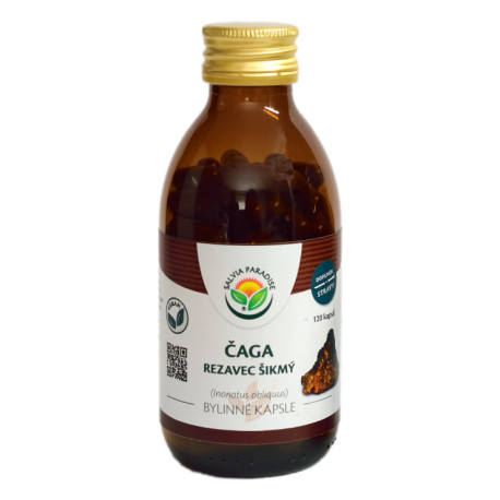 Chaga - kapsuły pochylonego kutra 120 części