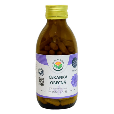 Kapsułki z chicory 120 pc