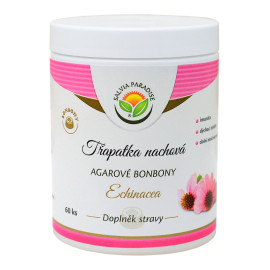 Echinacea – fioletowe cukierki z agarem z koniuszkiem 60 sztuk