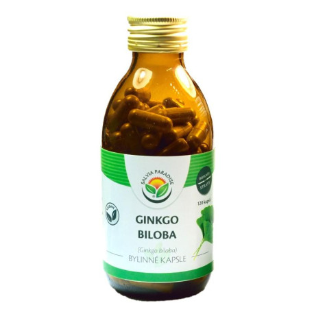 Ginkgo biloba - kapsułki miłorząbnego 120 części